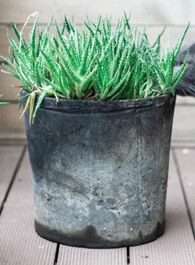 直小高筒手工粗陶红陶土盆黑花盆泥瓦盆多肉植物陶盆阳台发财树盆