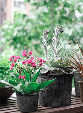 直小矮筒粗陶小多肉陶土盆泥瓦盆仿古花盆植物迷你盆栽透气吸水