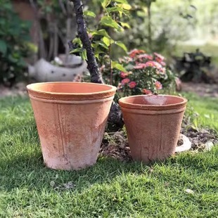 矮双口粗陶花盆简约透气多肉植物透气大小老桩大号口径户外庭院