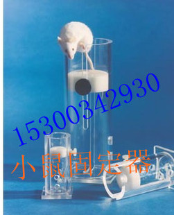 小鼠固定器/小白鼠固定器/老鼠固定器/尾静脉注射固定器 可调节