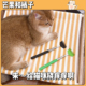 猫咪痒痒挠逗猫棒玩具猫咪按摩互动解闷抓痒撸猫神器可伸缩梳毛刷