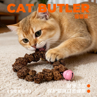 虫瘿果猫咪玩具磨牙洁齿虫瘿果手串自嗨解闷神器虫瘿果耐咬猫玩具