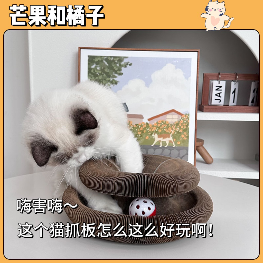 风琴猫抓板耐磨不掉屑猫玩具自嗨解闷神器皮球消耗体力猫抓咬玩具