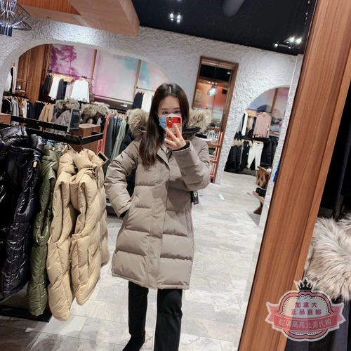 84972 Канадская прямая почтовая почтовая почта Aritzia TNA Powder