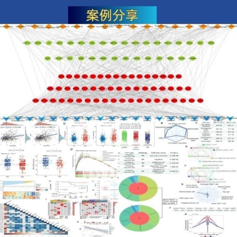 多组学生信分析 定制服务 数据整合 通路富集 机制研究