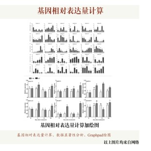 基因相对表达量计算、显著性分析加绘图