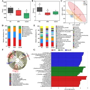 16S扩增子测序数据分析(16S,ITS,18S),宏基因组数据分析