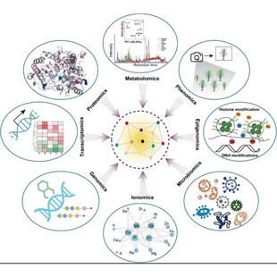 R 绘图 SCI 桑基热图数据分析个性化服务