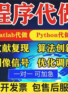 matlab代编程序代做帮做python代码复现算法仿真编写深度机器学习