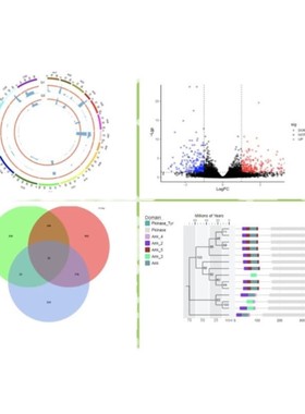 GO/KEGG/热图/circos作图/火山图/venn图/生物信息作图