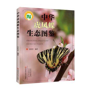 【现货】中华虎凤蝶生态图鉴张松奎编著9787572510632河南科学技术出版社自然科学/生物学高性价比高么？