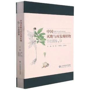 精 孙英宝9787572301537 绘画 责编 现货 中国灭绝与再发现植物手绘图鉴 李海英 贺然 编者 韩晓萌 王英伟 张梦叶 孙英宝