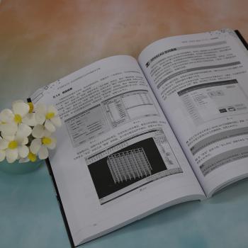 【现货】中文版PKPM 2022结构设计实战技术手册杨汝俊，李岩，张亚峰编著9787302625391清华大学出版社