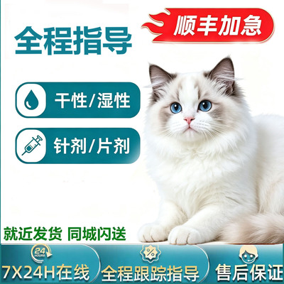 猫咪针剂干湿性油水口服八年老店
