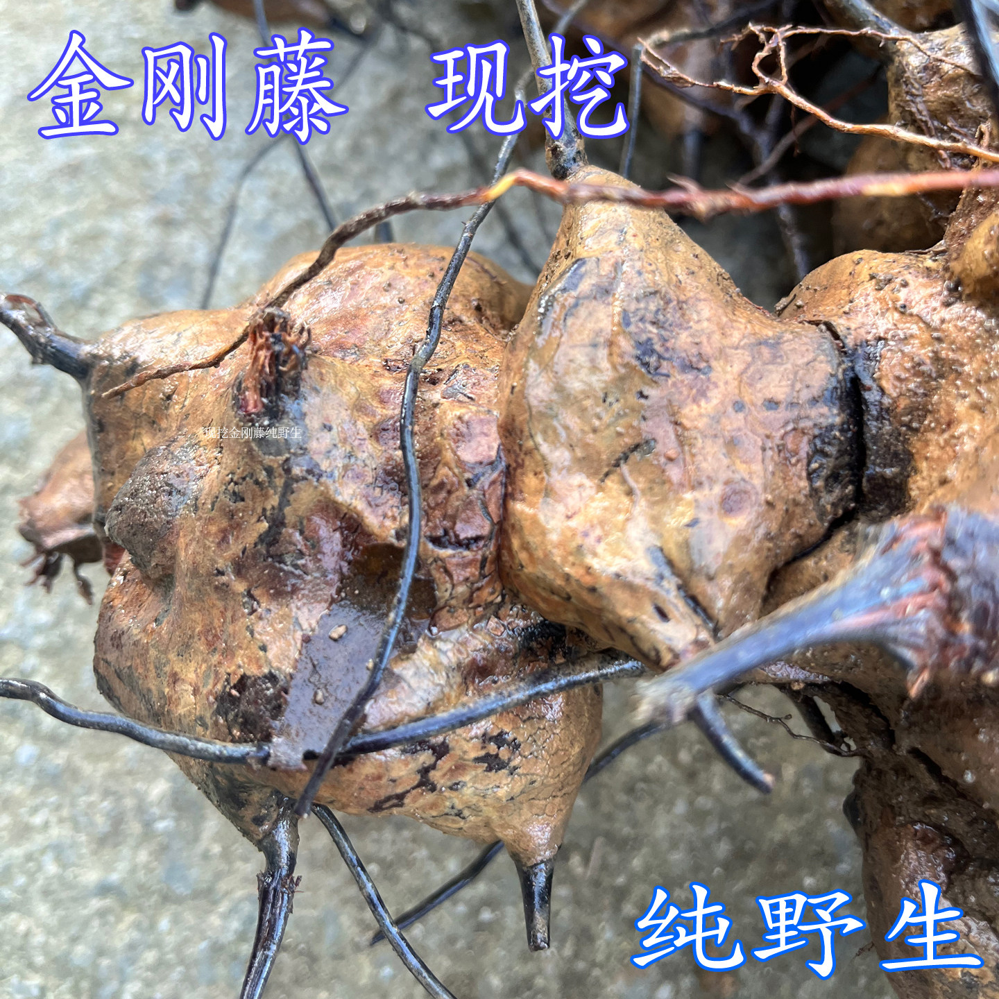现挖纯野生金刚藤藤菝葜老根
