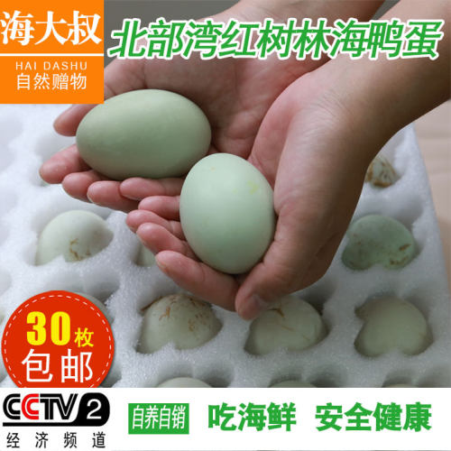 红树林新鲜发货农家自产海鸭蛋