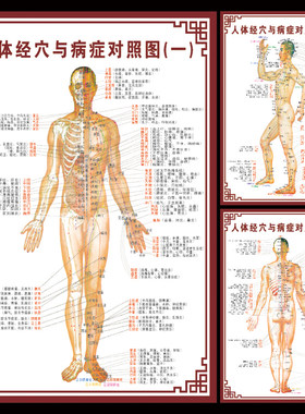 人体经穴与病症对照中医艾灸挂图