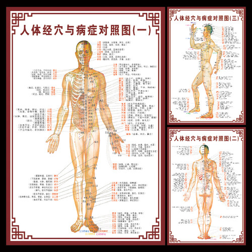 人体经穴与病症对照中医艾灸挂图