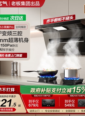 名气小黑翼Pro抽油烟机顶侧双吸厨房家用大吸力A586H补贴老板出品