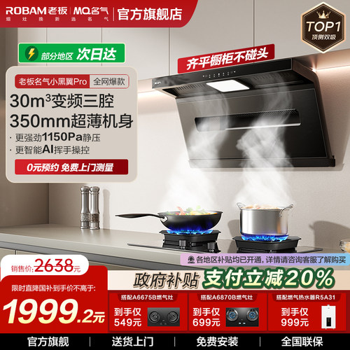 名气小黑翼顶测双吸油烟机自旋洗