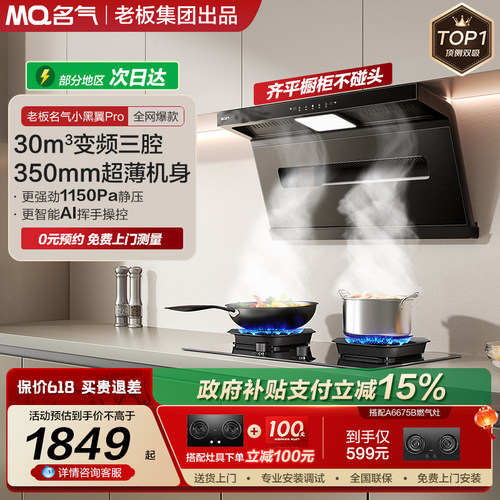名气小黑翼顶测双吸油烟机自旋洗