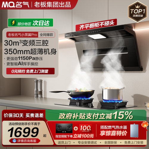 名气小黑翼顶测双吸油烟机自旋洗
