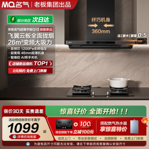 名气全网热销烟机纤薄双子星Q10