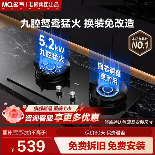 名气九孔鸳鸯猛火燃气灶双灶家用天然气煤气灶老板出品炉灶台J1
