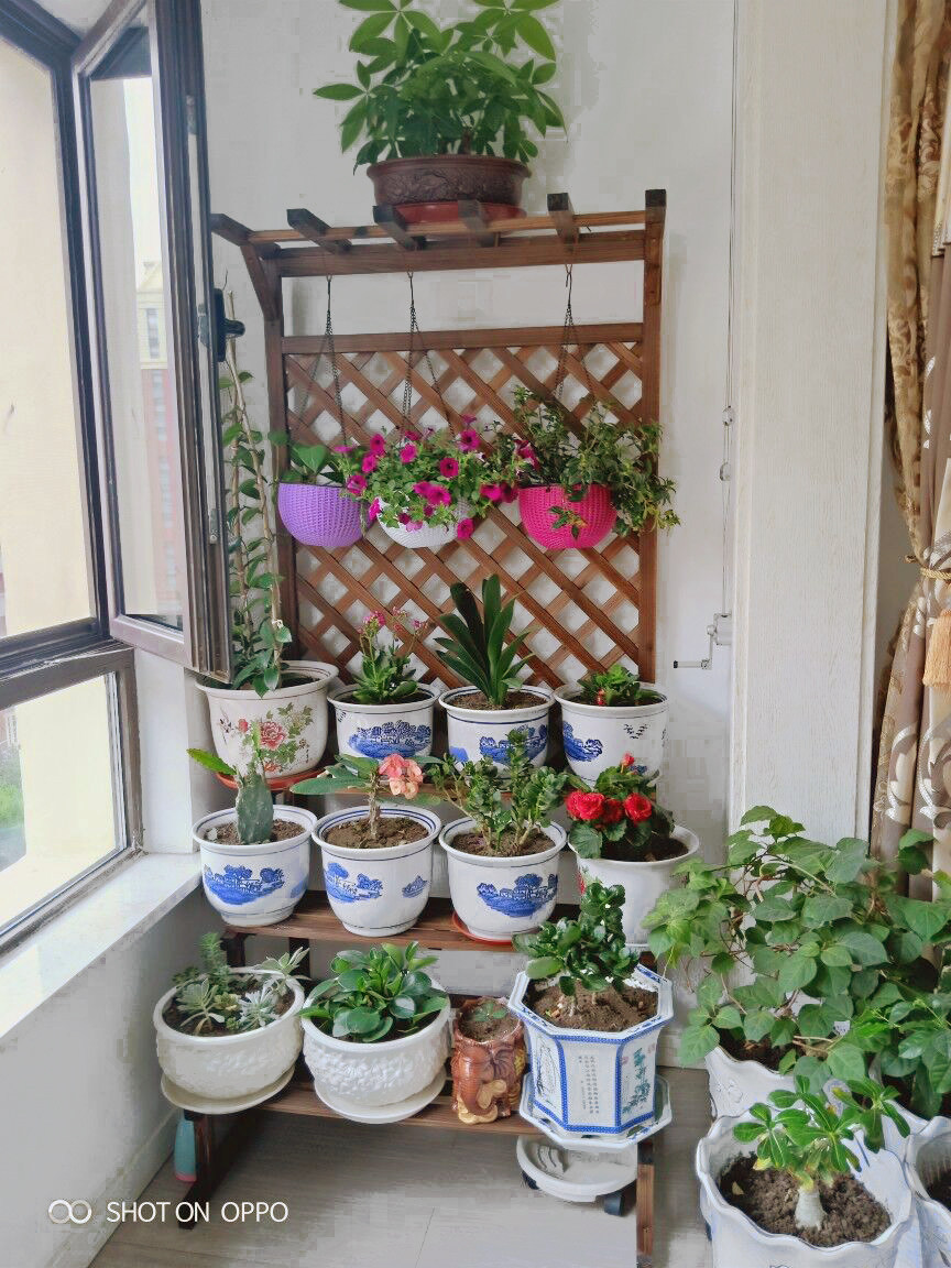 网友分享在meiguo.com的图片