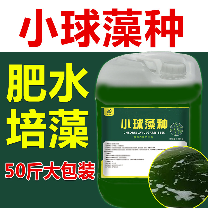 小球藻藻种复合藻种肥水培藻增氧水产养殖绿水藻培养基饲料鱼食 - 实物图