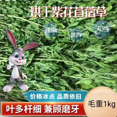 2023烘干烘干紫花苜蓿草5A级