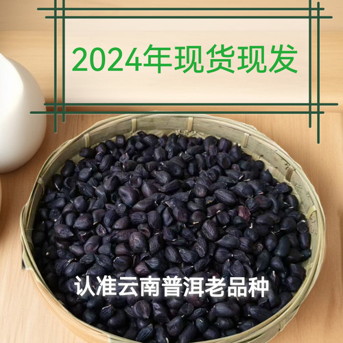 2024年云南特产富硒黑籽花生甜味紫黑皮带壳生新货原味农产品