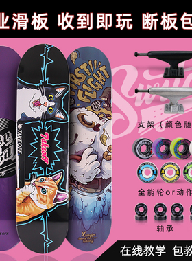 takeoff专业滑板男女生成人儿童代步刷街技巧双翘板 Switch滑板店