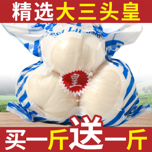 兰州鲜甜百合500g新挖百合新鲜食用甘肃非干货生白合干特产级包邮
