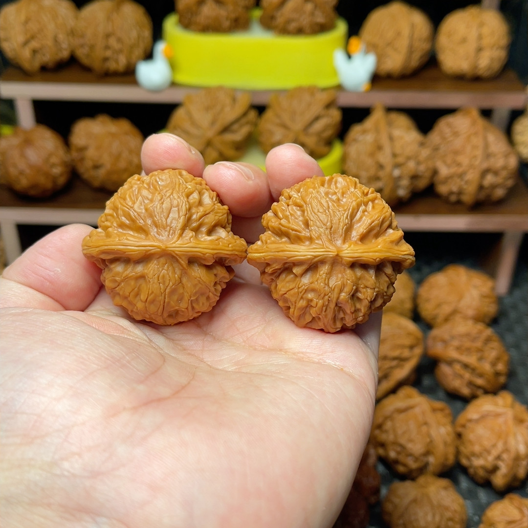 新手福利42宫灯