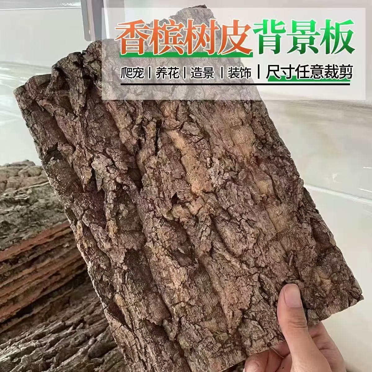 天然香槟树皮爬宠缸背景板软木