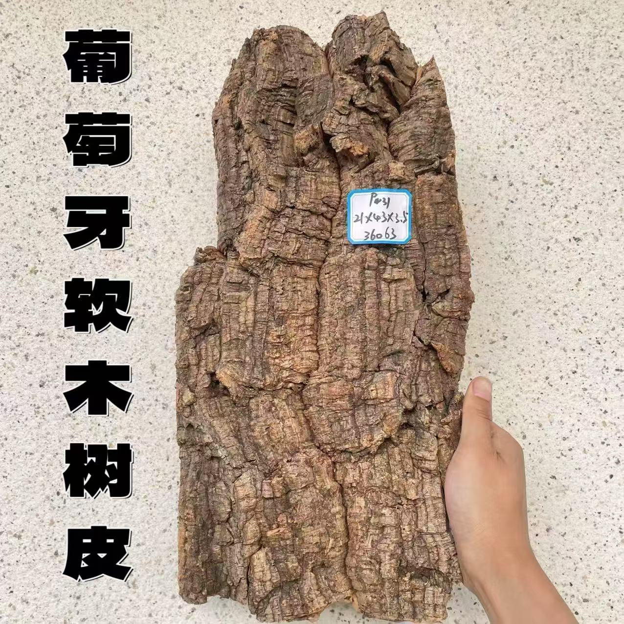 葡萄牙软木树皮  蝴蝶兰鹿角蕨西类丽绿植挂板爬宠缸造景香槟树皮