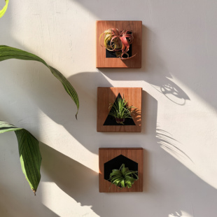 原创樱桃木几何空气凤梨挂板植物花托壁挂墙面装饰手工鲜花礼品