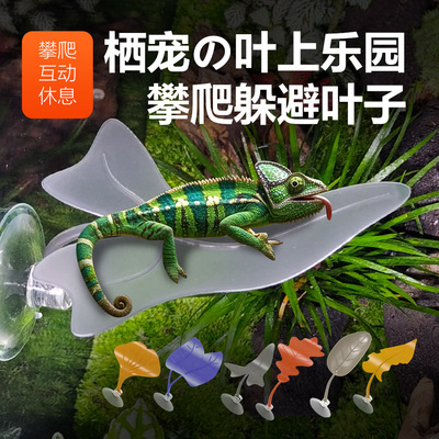 爬虫悬挂叶子晒台爬台吸盘树叶