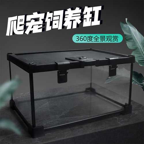 nomo爬宠饲养缸造景雨林缸