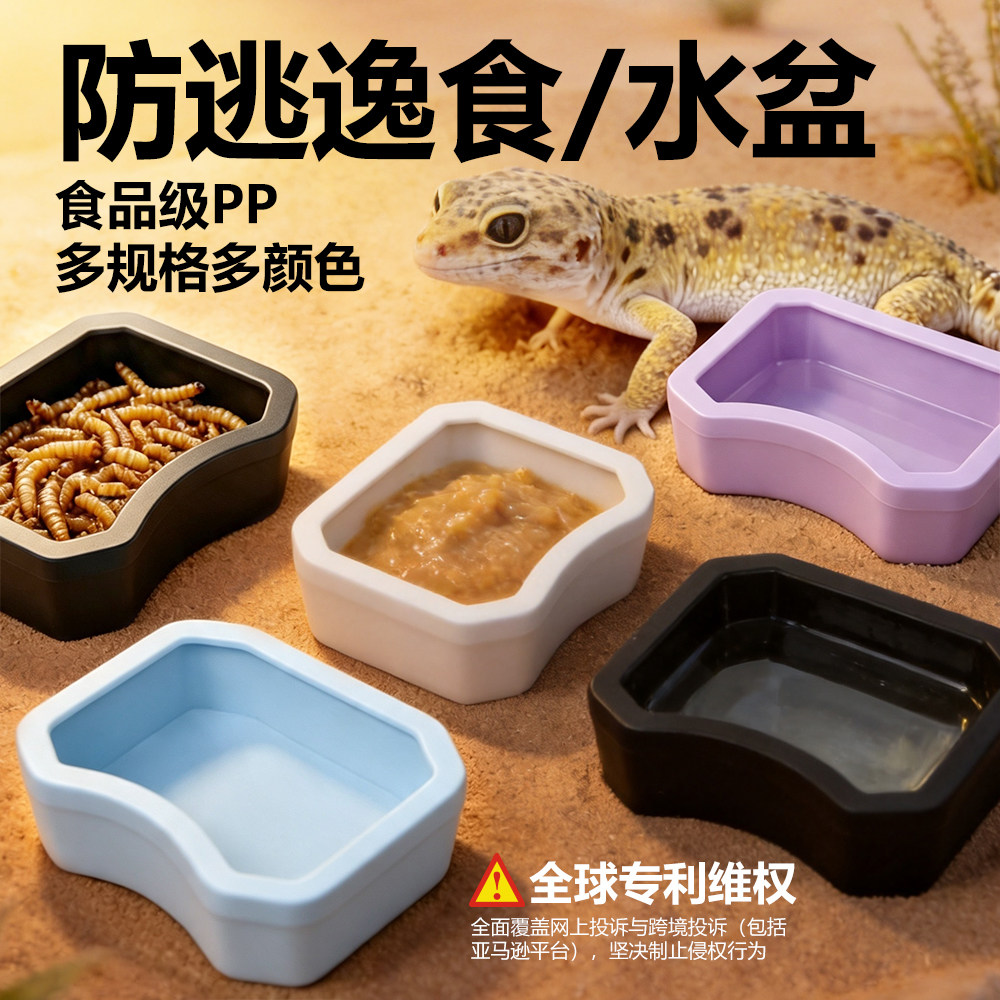 守宫防逃食盆水盆多巴胺色系爬宠塑料喂食器饮水器蜥蜴蜘蛛食水盆