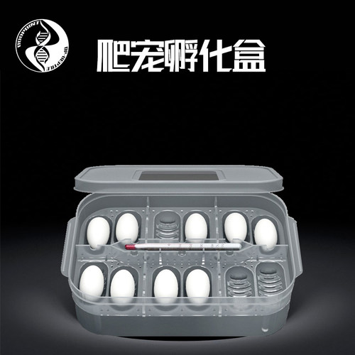 CM爬虫孵化蛋托盒守宫睫角蜥蜴鬃狮蜥乌龟蛇爬宠温度计孵蛋盒蛭石