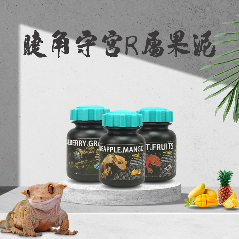 诺茵睫角R属守宫果泥饲料爬宠盖勾亚巨人魔物蜥蜴昆虫水果口粮-封面