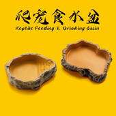爬虫蜥蜴食盆水盆仿岩石爬宠守宫鬃狮蛇饲养箱树脂造景饮水喂食碗