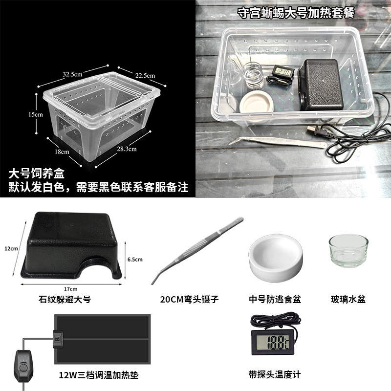 爬宠守宫蜥蜴饲养套餐躲避加温爬虫角蛙蜘蛛爬虫箱玩具蛇饲养套装