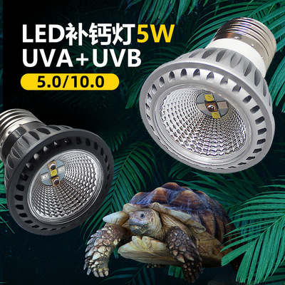 nomo乌龟全光谱晒背灯uva+uvb