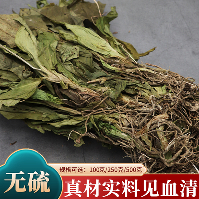 见血清苗中草药整颗见血青羊耳蒜