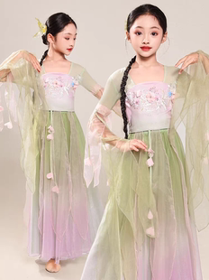 古典舞演出服女儿童少儿飘逸纱衣练功服古风国风中国舞蹈服装国风