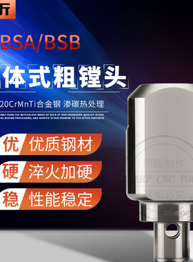 BSABSB分体式粗镗头系列45度90度LBK可调式单刃镗头BSBBSA-30-105