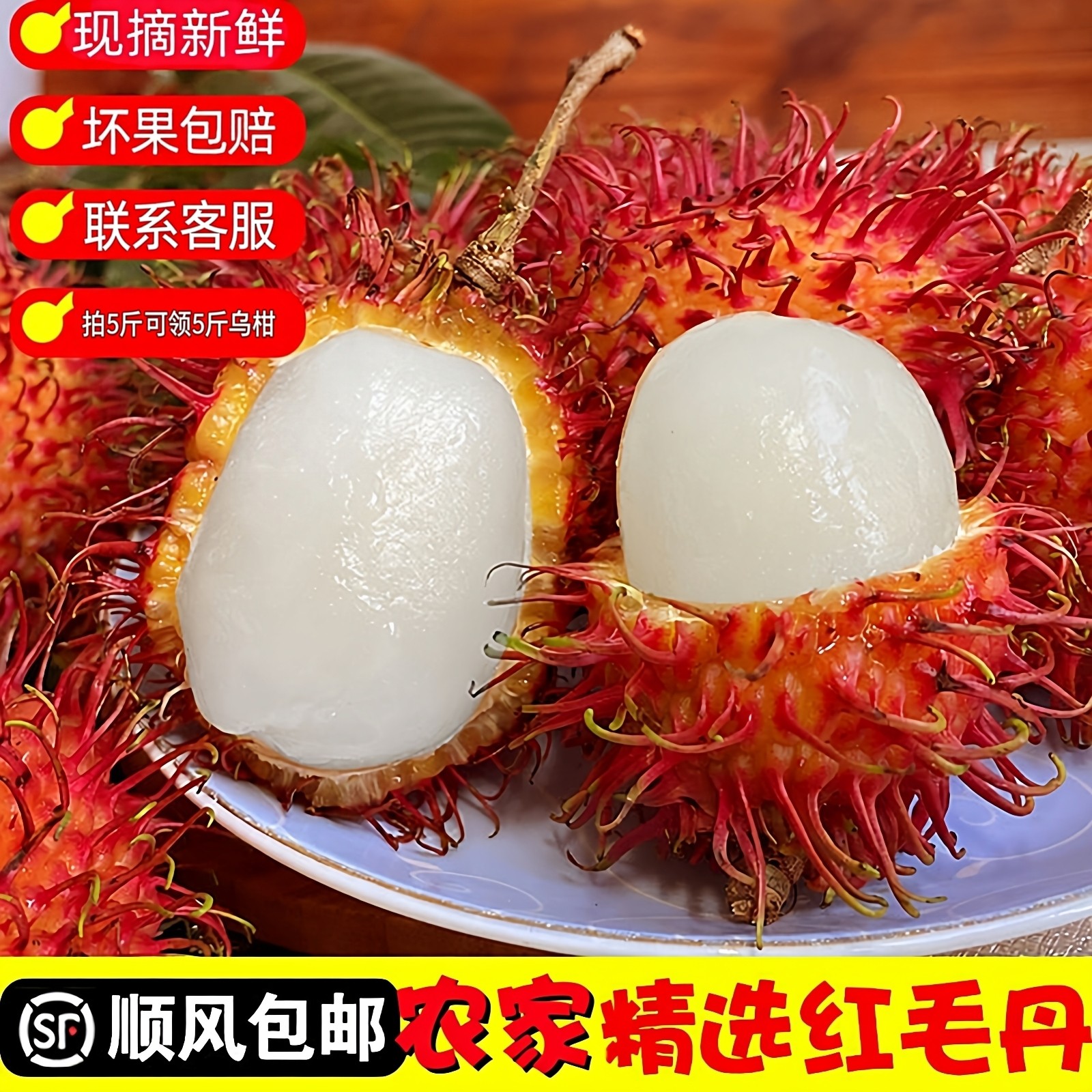 顺丰净重红毛丹5斤广西海南现摘精选水果毛荔枝当季果新鲜整箱3斤,水产肉类/新鲜蔬果/熟食,毛丹/毛荔枝,淘宝优惠券,粉丝福利购,淘宝优惠卷